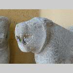 d18j2pm028-P1070773