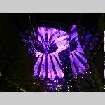 d18j2pm055-P1070819