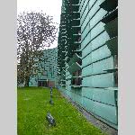 h18j4pm006-P1080029