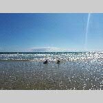 a18erd-20180717_172123