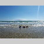 a18erd-20180717_172135