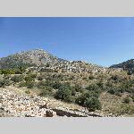 d18myc001-P1070093