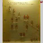 d18myc015-P1070071