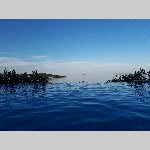 e18yala010-20180922_181606