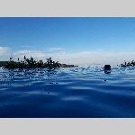 e18yala011-20180922_181638