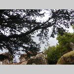 h18mstra010-P1070302