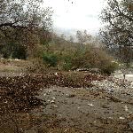 j18axo028-IMG_0900