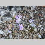 j18axo064-P1070424