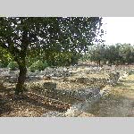 m18jo009-P1070476