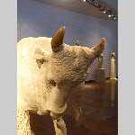 m18jo036-P1070508