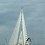n18qxi003-IMG_0943
