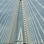 n18qxi004-IMG_0944