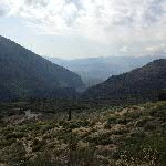 o18delf001-IMG_0950
