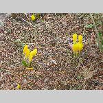 o18delf036-P1070553