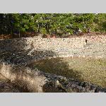 o18delf039-P1070556