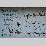 a18re-20180528_163600