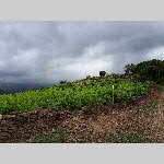 a18rou-20180606_163406