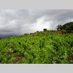 a18rou-20180606_163441