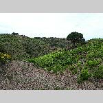 a18rou-20180607_134141