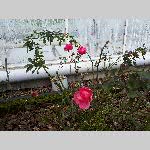 a18j7-20180109_123239