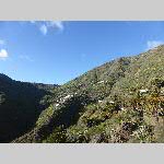 j18j004-P1060764