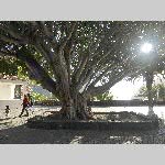 j18j006-P1060766