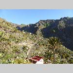 j18j007-P1060767