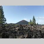 n18j001-P1060781