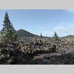 n18j002-P1060782