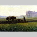 a19cg-oxen-ploughing-1903