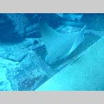 d19ctes015-20191130_101625