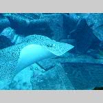d19ctes016-20191130_101831