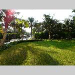 f19j036-20191202_150631