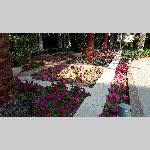 f19j061-20191203_125437