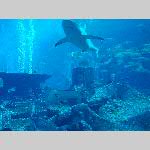h20syl-20191130_101901