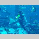 h20syl-20191130_102400