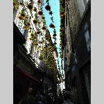 a19avgn-IMG_20190716_155821