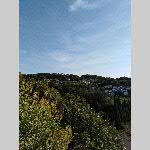 a19avgn-IMG_20190718_192535