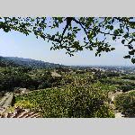a19avgn-IMG_20190721_111140