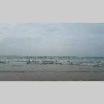 a19erdv-20190827_114748