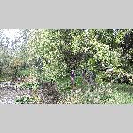 a19erdv-20190828_121349
