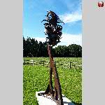 b19pir005-20190623_165859