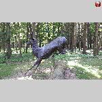 b19pir009-20190623_171302