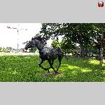 b19pir019-20190623_172748