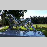 b19pir029-20190623_165737