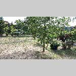c19avgn016-20190709_173841