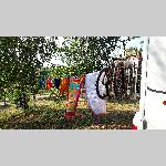 c19avgn017-20190709_190441