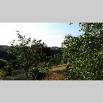 c19avgn019-20190709_195124