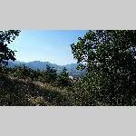c19avgn087-20190723_094758