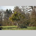a20moi-DSC_0034
